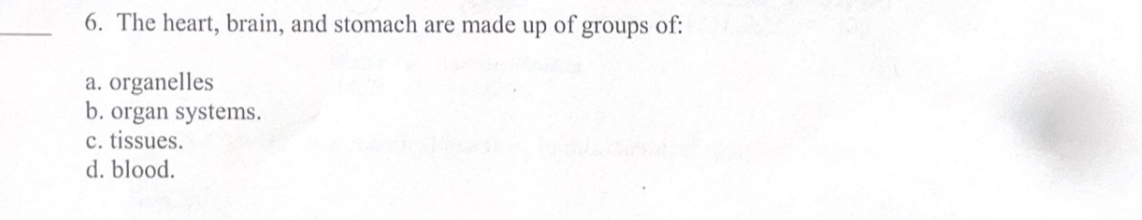 The heart, brain, and stomach are made up of groups of:
a. organelles
b. organ systems.
c. tissues.
d. blood.