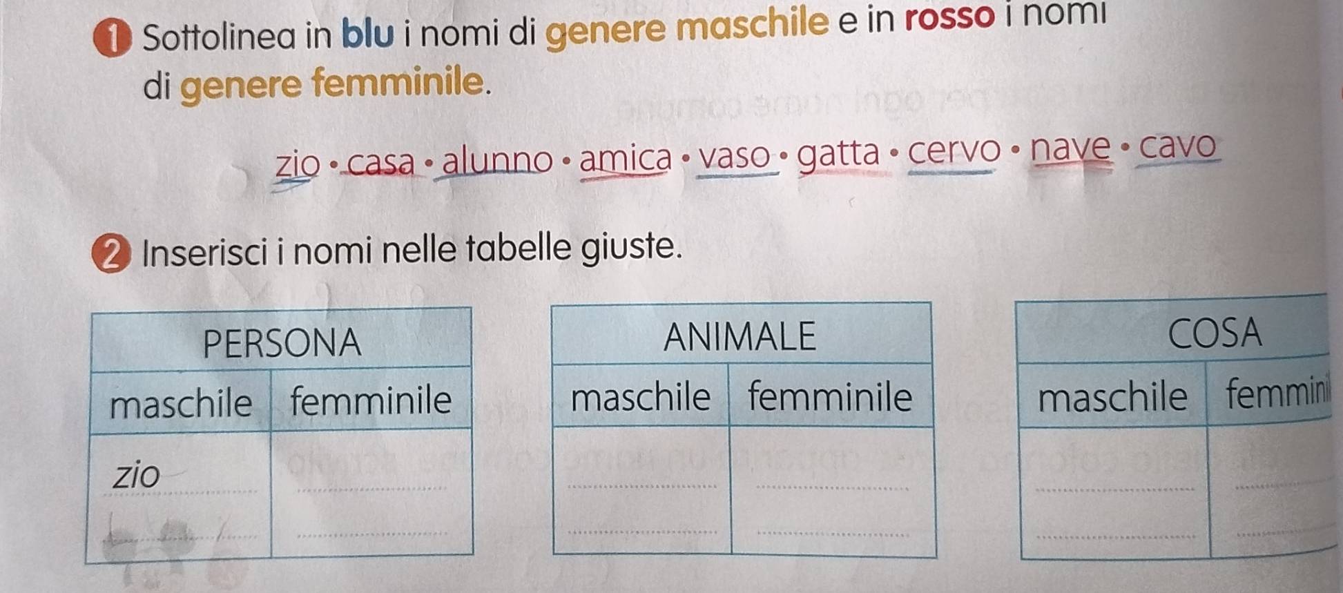 Sottolinea in blu i nomi di genere maschile e in rosso i nomı 
di genere femminile. 
zio • casa • alunno • amica • vaso • gatta • cervo • nave • cavo 
② Inserisci i nomi nelle tabelle giuste.