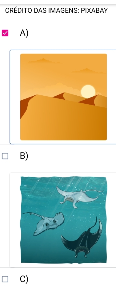 CRÉDITO DAS IMAGENS: PIXABAY 
A) 
B) 
C)