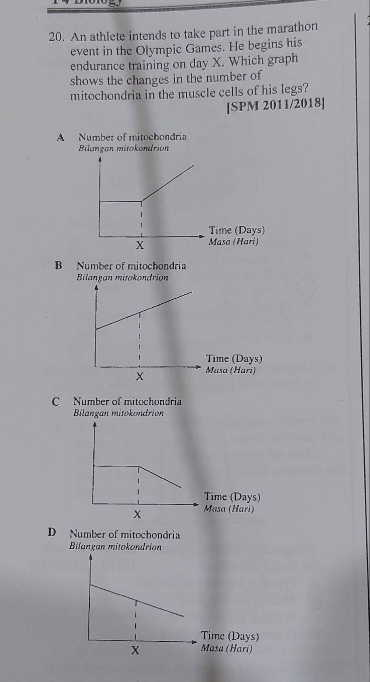 An athlete intends to take part in the marathon
event in the Olympic Games. He begins his
endurance training on day X. Which graph
shows the changes in the number of
mitochondria in the muscle cells of his legs?
[SPM 2011/2018]
A Number of mitochondria
Bilangan mitokondrion
Time (Days)
Masa (Hari)
B Number of mitochondria
Bilangan mitokondrion
Time (Days)
Masa (Hari)
C Number of mitochondria
Bilangan mitokondrion
D Number of mitochondria
Bilangan mitokondrion