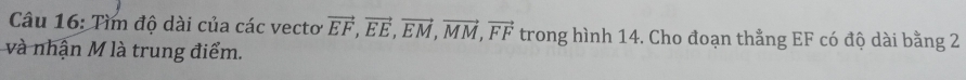Tìm độ dài của các vecto vector EF, vector EE, vector EM, vector MM, vector FF trong hình 14. Cho đoạn thằng EF có độ dài bằng 2
và nhận M là trung điểm.