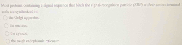 Most proteins containing a signal sequence that binds the signal-recognition particle (SRP) at their amino-terminal
ends are synthesized in:
the Golgi apparatus.
the nucleus.
the cytosol.
the rough endoplasmic reticulum.