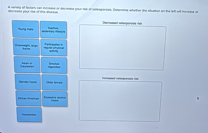 A variety of factors can increase or decrease your risk of osteoporosis. Determine whether the situation on the left will increase or
decrease your risk of this disease.
Decreased osteoporosis risk
Inactive
Young male sedentary lifestyle
Participates in
Overweight, large regular physical
frame activity
Asian or Smokes
Caucasian cigarettes
Increased osteoporosis risk
Slender frame Older female
African American Excessive alcohol
intake
Nonsmoker