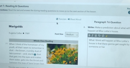 rt 1: Reading & Questions 
rections: Raad the text and answer the during reading questions to move on to the next section of the lesson. 
Translate Read Aloud Paragraph 16 Question 
Marigolds 6. Write: Make a prediction about what will 
happen at Miss Lottie's house. 
Eugenia Collier ● 1969 Font Size Medium BIMつ S ∠ 
What I think will happen at Miss Lottie's 
Whole Class Reading house is that there gonna get caught by 
!"! When I think of the hametown of mysomeone or her 
youth, all that I seem to remember is 
dust -- the brown, crumbly dust of 
late summer - arid, sterile dust 
that gets into the eyes and makes 
them water, gets into the throal and 
between the toes of bare brown feet