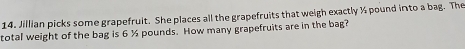 Jillian picks some grapefruit. She places all the grapefruits that weigh exactly ½ pound into a bag. The 
total weight of the bag is 6 ½ pounds. How many grapefruits are in the bag?