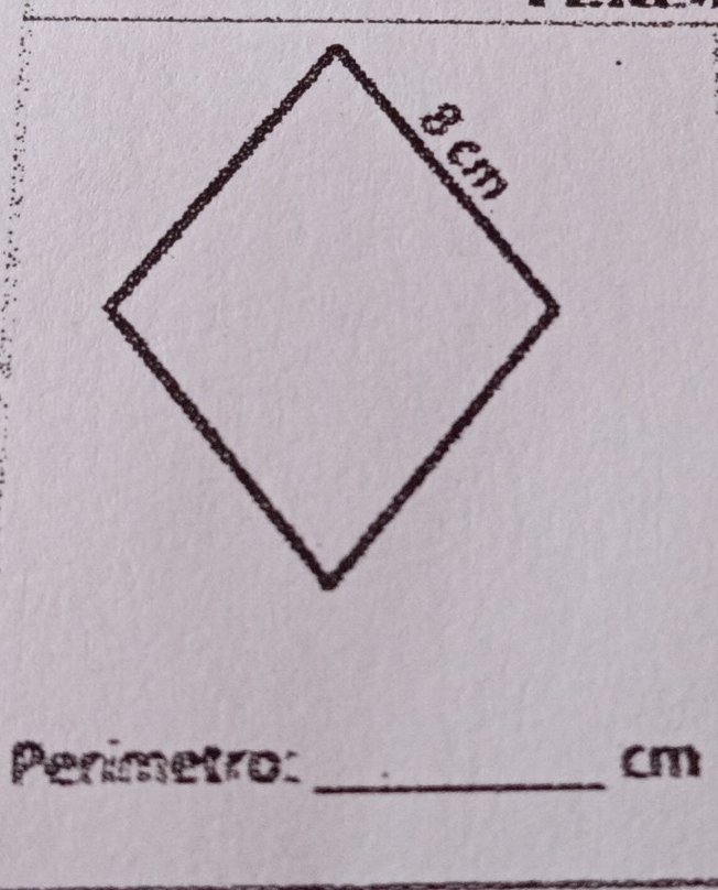 Penimetro: _ cm