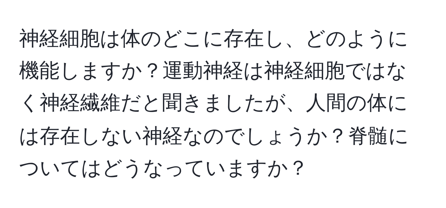 神経細胞は体のどこに存在し、どのように機能しますか？運動神経は神経細胞ではなく神経繊維だと聞きましたが、人間の体には存在しない神経なのでしょうか？脊髄についてはどうなっていますか？