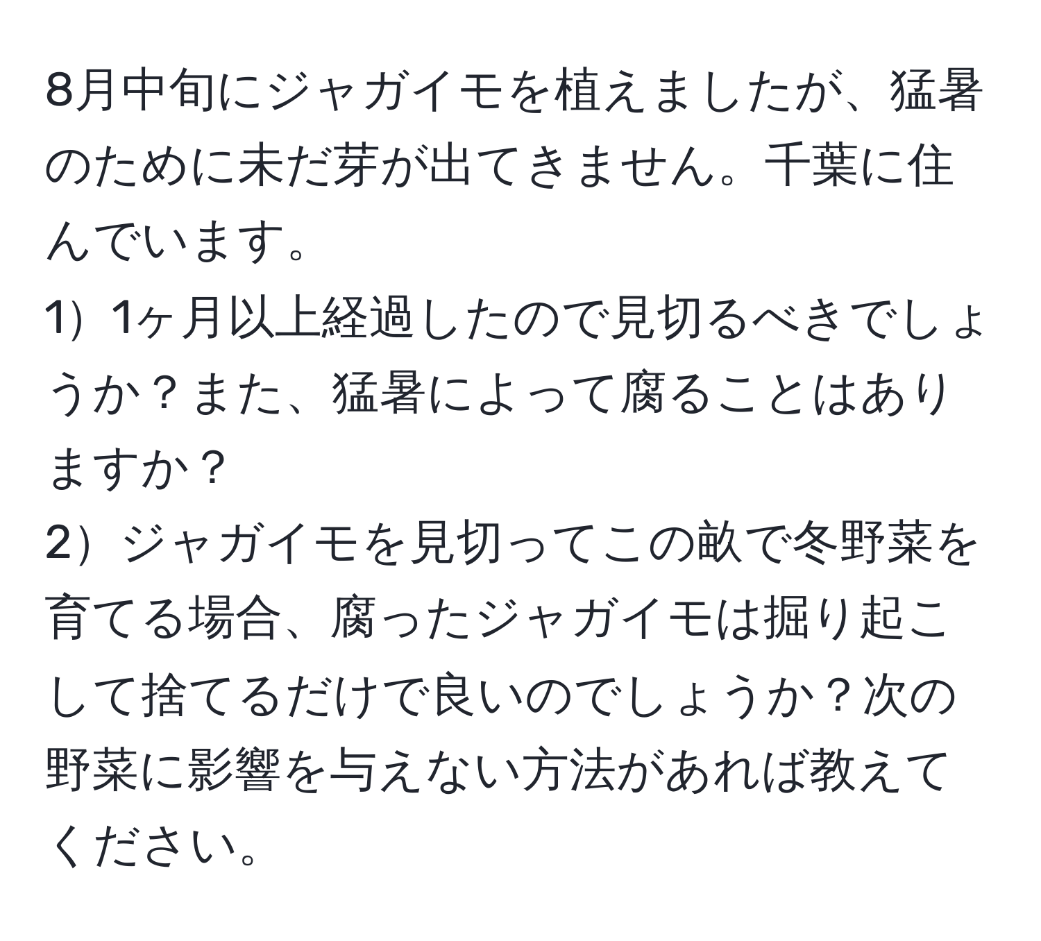 8月中旬にジャガイモを植えましたが、猛暑のために未だ芽が出てきません。千葉に住んでいます。  
11ヶ月以上経過したので見切るべきでしょうか？また、猛暑によって腐ることはありますか？  
2ジャガイモを見切ってこの畝で冬野菜を育てる場合、腐ったジャガイモは掘り起こして捨てるだけで良いのでしょうか？次の野菜に影響を与えない方法があれば教えてください。