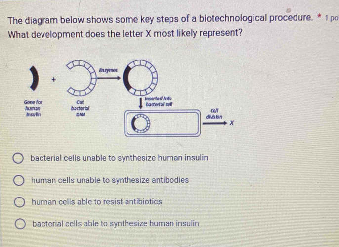 The diagram below shows some key steps of a biotechnological procedure. * 1 po
What development does the letter X most likely represent?
Cell
division
x
bacterial cells unable to synthesize human insulin
human cells unable to synthesize antibodies
human cells able to resist antibiotics
bacterial cells able to synthesize human insulin