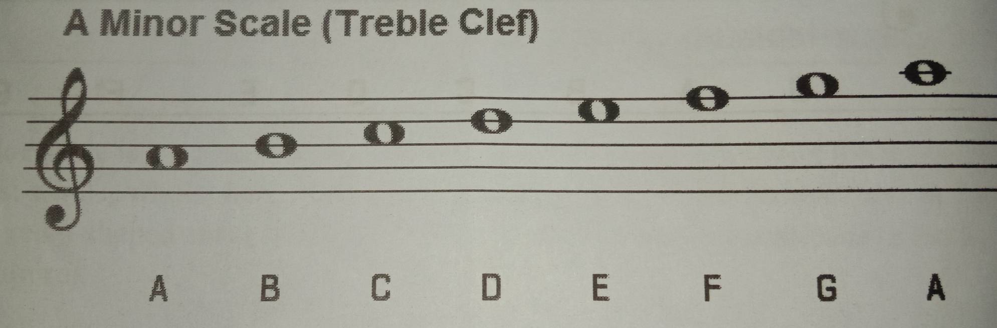 A Minor Scale (Treble Clef) 
A 
B 
C
D
E
F
G
A