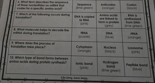 What term describes the sequence