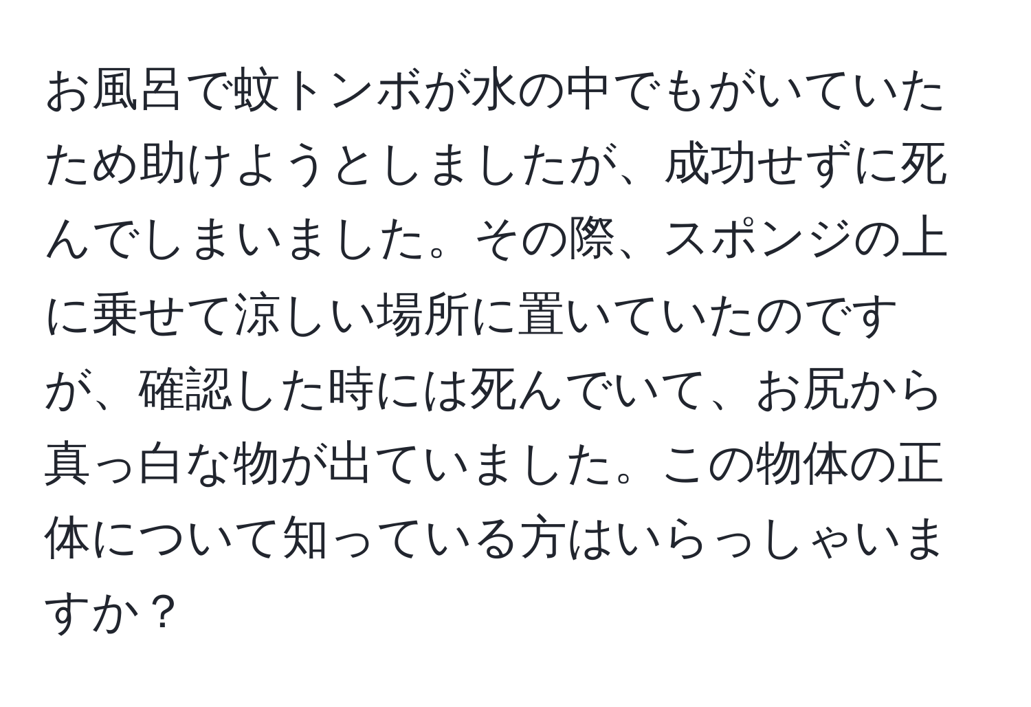 お風呂で蚊トンボが水の中でもがいていたため助けようとしましたが、成功せずに死んでしまいました。その際、スポンジの上に乗せて涼しい場所に置いていたのですが、確認した時には死んでいて、お尻から真っ白な物が出ていました。この物体の正体について知っている方はいらっしゃいますか？