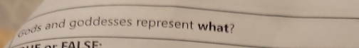 Gods and goddesses represent what?