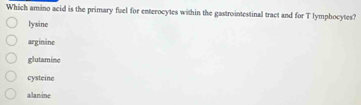 Which amino acid is the primary fuel for enterocytes within the gastrointestinal tract and for T lymphocytes?
lysine
arginine
glutamine
cysteine
alanine