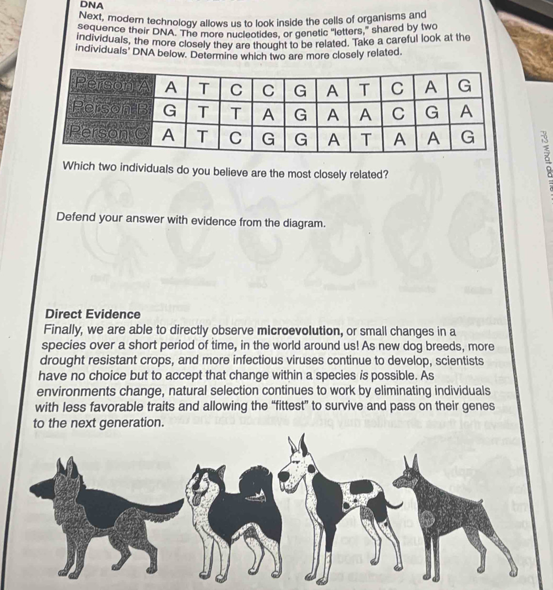 DNA 
Next, modern technology allows us to look inside the cells of organisms and 
sequence their DNA. The more nucleotides, or genetic “letters,” shared by two 
individuals, the more closely they are thought to be related. Take a careful look at the 
individuals' DNA below. Determine which two are more closely related, 
Which two individuals do you believe are the most closely related? 
q 
Defend your answer with evidence from the diagram. 
Direct Evidence 
Finally, we are able to directly observe microevolution, or small changes in a 
species over a short period of time, in the world around us! As new dog breeds, more 
drought resistant crops, and more infectious viruses continue to develop, scientists 
have no choice but to accept that change within a species is possible. As 
environments change, natural selection continues to work by eliminating individuals 
with less favorable traits and allowing the “fittest” to survive and pass on their genes 
to the next generation.