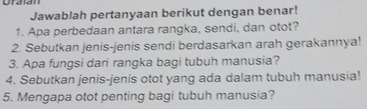 Uraian 
Jawablah pertanyaan berikut dengan benar! 
1. Apa perbedaan antara rangka, sendi, dan otot? 
2. Sebutkan jenis-jenis sendi berdasarkan arah gerakannya! 
3. Apa fungsi dari rangka bagi tubuh manusia? 
4. Sebutkan jenis-jenis otot yang ada dalam tubuh manusia! 
5. Mengapa otot penting bagi tubuh manusia?