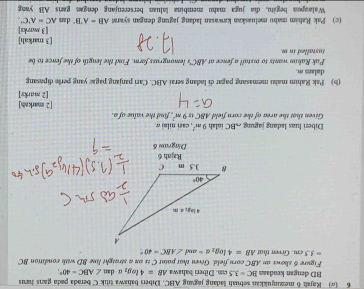 6 () Rajah 6 menunjukkan sebuah ladang jagung ABC. Dıberı bahawa titık C berada pada garıs lurus
BD dengan keadaan BC=3.5cm. Diberi bahawa AB=4log _2a $ tan ∠ ABC=40°.
Figure 6 shows an ABC corn field. Given that point C is on a straight line BD with condition BC
=3.5cm. Given that AB=4log _2a=an ∠ ABC=40°..
Rajah 6
Diagram 6
Diberi luas ladang jagung ABC ialah 9m^2 , cari nilai a.
Given that the area of the corn field ABC is 9m^2 , find the value of a.
[2 markah]
[2 marks]
(b) Pak Rahim mahu memasang pagar di ladang serai ABC. Cari panjang pagar yang perlu dipasang
dalam m.
Pak Rahim wants to install a fence at ABC's lemongrass farm. Find the length of the fence to be
installed in m.
[3 markah]
[3 marks]
(c) Pak Rahim mahu meluaskan kawasan ladang jagung dengan syarat AB=A'B' dan AC=A'C'.
Walaupun begitu, dia juga mahu membina laluan berserenjang dengan garis AB yang