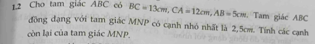 1.2 Cho tam giác ABC có BC=13cm, CA=12cm, AB=5cm Tam giác ABC
đồng dạng với tam giác MNP có cạnh nhỏ nhất là 2,5cm. Tính các cạnh 
còn lại của tam giác MNP.