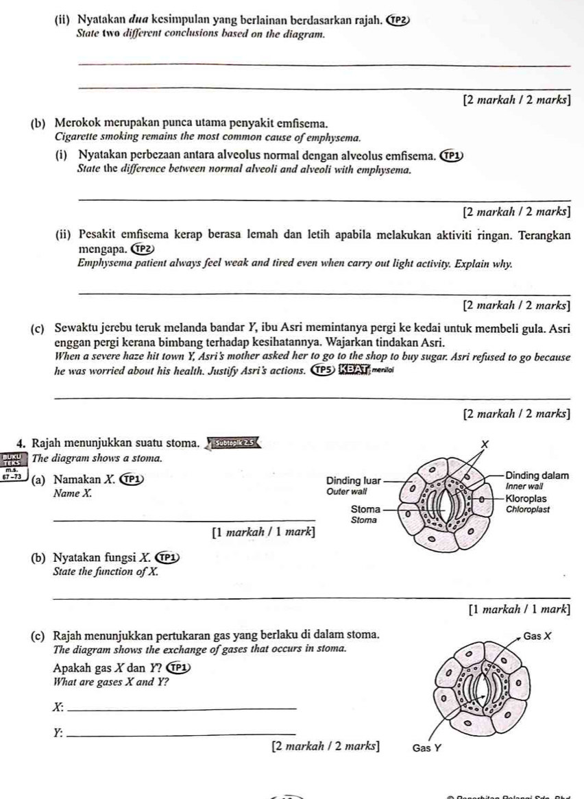 (ii) Nyatakan duα kesimpulan yang berlainan berdasarkan rajah. α
State two different conclusions based on the diagram.
_
_
[2 markah / 2 marks]
(b) Merokok merupakan punca utama penyakit emfisema.
Cigarette smoking remains the most common cause of emphysema.
(i) Nyatakan perbezaan antara alveolus normal dengan alveolus emfisema. C1
State the difference between normal alveoli and alveoli with emphysema.
_
[2 markah / 2 marks]
(ii) Pesakit emfisema kerap berasa lemah dan letih apabila melakukan aktiviti ringan. Terangkan
mengapa. ⑰
Emphysema patient always feel weak and tired even when carry out light activity. Explain why.
_
_
[2 markah / 2 marks]
(c) Sewaktu jerebu teruk melanda bandar Y, ibu Asri memintanya pergi ke kedai untuk membeli gula. Asri
enggan pergi kerana bimbang terhadap kesihatannya. Wajarkan tindakan Asri.
When a severe haze hit town Y, Asri's mother asked her to go to the shop to buy sugar. Asri refused to go because
he was worried about his health. Justify Asri's actions. TP5 KEA meniloi
_
[2 markah / 2 marks]
4. Rajah menunjukkan suatu stoma. um 
The diagram shows a stoma.
67 −73 (a) Namakan X. CP1 
Name X. 
_
[1 markah / 1 mar
(b) Nyatakan fungsi X. T1
State the function of X.
_
[1 markah / 1 mark]
(c) Rajah menunjukkan pertukaran gas yang berlaku di dalam stoma.
The diagram shows the exchange of gases that occurs in stoma.
Apakah gas X dan Y? T
What are gases X and Y? 
_x
Y:_
[2 markah / 2 marks]