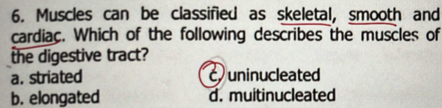 Muscles can be classified as skeletal, smooth and
cardiac. Which of the following describes the muscles of
the digestive tract?
a. striated cuninucleated
b. elongated d. muitinucleated