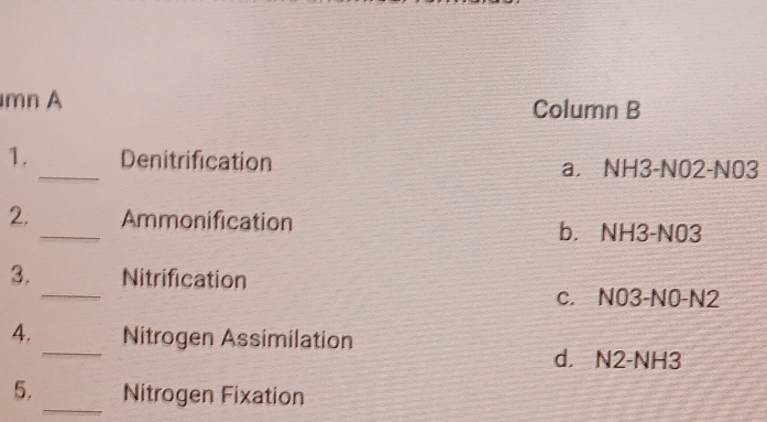 mn A Column B
1._ Denitrification a. NH3-N02-N03
2. _Ammonification b. NH3-N03
_
3. Nitrification
c. N03-N0-N2
_
4. Nitrogen Assimilation
d， N2-NH3
_
5. Nitrogen Fixation