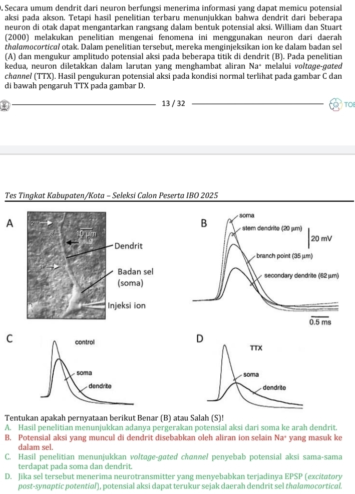 Secara umum dendrit dari neuron berfungsi menerima informasi yang dapat memicu potensial
aksi pada akson. Tetapi hasil penelitian terbaru menunjukkan bahwa dendrit dari beberapa
neuron di otak dapat mengantarkan rangsang dalam bentuk potensial aksi. William dan Stuart
(2000) melakukan penelitian mengenai fenomena ini menggunakan neuron dari daerah
thalamocortical otak. Dalam penelitian tersebut, mereka menginjeksikan ion ke dalam badan sel
(A) dan mengukur amplitudo potensial aksi pada beberapa titik di dendrit (B). Pada penelitian
kedua, neuron diletakkan dalam larutan yang menghambat aliran Na^+ melalui voltage-gated
channel (TTX). Hasil pengukuran potensial aksi pada kondisi normal terlihat pada gambar C dan
di bawah pengaruh TTX pada gambar D.
a 13 / 32 TO
Tes Tingkat Kabupaten/Kota - Seleksi Calon Peserta IBO 2025
A
C
 
Tentukan apakah pernyataan berikut Benar (B) atau Salah (S)!
A. Hasil penelitian menunjukkan adanya pergerakan potensial aksi dari soma ke arah dendrit.
B. Potensial aksi yang muncul di dendrit disebabkan oleh aliran ion selain Na* yang masuk ke
dalam sel.
C. Hasil penelitian menunjukkan voltage-gated channel penyebab potensial aksi sama-sama
terdapat pada soma dan dendrit.
D. Jika sel tersebut menerima neurotransmitter yang menyebabkan terjadinya EPSP (excitatory
post-synaptic potential), potensial aksi dapat terukur sejak daerah dendrit sel thalamocortical.