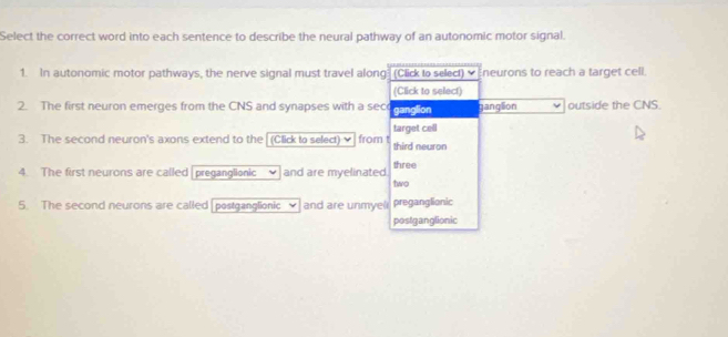 Select the correct word into each sentence to describe the neural pathway of an autonomic motor signal. 
1. In autonomic motor pathways, the nerve signal must travel along (Click to select) vEneurons to reach a target cell 
(Click to select) 
2. The first neuron emerges from the CNS and synapses with a sec ganglion ganglion outside the CNS. 
3. The second neuron's axons extend to the (Click to select) from t target cell third neuron 
4. The first neurons are called |preganglionic and are myelinated. three 
two 
5. The second neurons are called [postganglionic ] and are unmye( preganglionic 
postganglionic