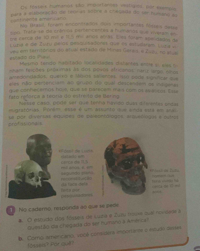 Os fósseis humanos são importantes vestigios, por exempio
para a elaboração de teorias sobre a chegada do ser humano ao
continente americano.
No Brasil, foram encontrados dois importantes fósseis desse
tipo. Trata-se de crânios pertencentes a humanos que viveram en-
tre cerca de 10 mil e 11,5 mil anos atrás. Eles foram apelidados de
Luzia e de Zuzu pelos pesquisadores que os estudaram. Luzia vi-
veu em territórios do atual estado de Minas Gerais, e Zuzu, no atual
estado do Piauí.
Mesmo tendo habitado localidades distantes entre si, eles ti-
nham feições próximas às dos povos africanos: nariz largo, olhos
arredondados, queixo e lábios salientes. Isso pode significar que
eles não pertenciam ao grupo do qual descendem os indigenas
que conhecemos hoje, que se parecem mais com os asiáticos. Esse
fato reforça a teoría do estreito de Bering.
Nesse caso, pode ser que tenha havido duas diferentes ondas
migratórias. Porém, esse é um assunto que ainda está em análi-
se por diversas equipes de paleontólogos, arqueólogos e outros
profissionals
*Fóssil de Luzia,
datado em
cerca de 11,5
mil anos, e, em
segundo plano *Fóssil de Zuzu
reconstituição homem que
da face dela teria vivido há
feita por cerca de 10 mil
pesquisadores anos.
1  No caderno, responda ao que se pede
a. O estudo dos fósseís de Luzia e Zuzu trouxe qual novidade à
questão da chegada do ser humano à América?
b. Como americano, vocé considera importante o estudo desses
fosseis? Por quê?