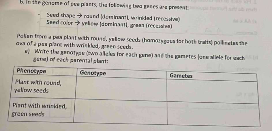 In the genome of pea plants, the following two genes are present: 
Seed shape → round (dominant), wrinkled (recessive) 
Seed color → yellow (dominant), green (recessive) 
Pollen from a pea plant with round, yellow seeds (homozygous for both traits) pollinates the 
ova of a pea plant with wrinkled, green seeds. 
a) Write the genotype (two alleles for each gene) and the gametes (one allele for each 
gene) of each parental plant: