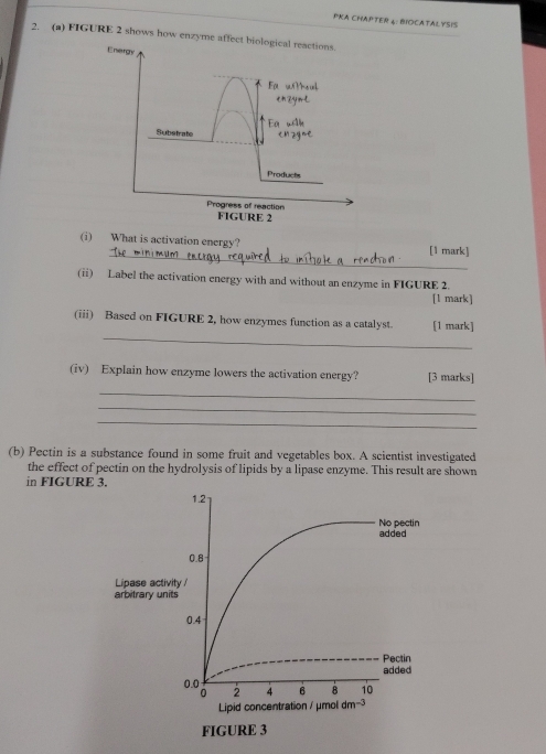 PKA CHAPTER 4: BIOCATALYSIS 
2. (a) FIGURE 2 shows how enzyme affect biological reactions. 
Energs 
Fa wi?s ul 
en ZymL 
Ea wh 
Substrate eM zyne 
Products 
Progress of reaction 
FIGURE 2 
(i) What is activation energy? 
_[1 mark] 
(ii) Label the activation energy with and without an enzyme in FIGURE 2. 
[1 mark] 
_ 
(iii) Based on FIGURE 2, how enzymes function as a catalyst. [1 mark] 
(iv) Explain how enzyme lowers the activation energy? [3 marks] 
_ 
_ 
_ 
(b) Pectin is a substance found in some fruit and vegetables box. A scientist investigated 
the effect of pectin on the hydrolysis of lipids by a lipase enzyme. This result are shown 
in FIGURE 3.
1.2
added No pectin
0.8
Lipase activity/ 
arbitrary units
0.4
Pectin 
added
0.0 6 8 10
0 2 4
Lipid concentration / μmol dm-3 
FIGURE 3