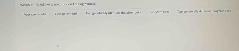 Which of the following are produced during mitosis?
Four stem cells One parent cell Two genetically identical daughter cells Two stern cells Two genetically different daughter cells