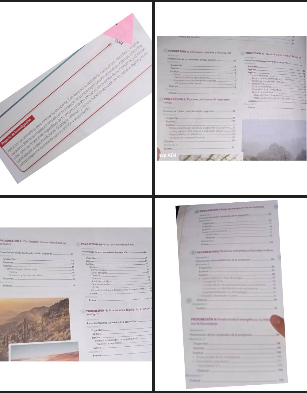 ocimientos para mejorar tu composta. Con base en lo aprendido hasta ahora, identif_________
PROGRESIÓN 1: Estructuras celulares y vida vegetal  PROGRESIÓN 3: Fotosintesis y producción de azúcaes
; 3 Presentación de los contenidos de la prognsión _12 Presenzación de los contenidos de la progresión
Enganchen 14
Explonar Explorar Engancha
15
Expilicar = Crua _Fuentes de energía  Fuentes de energía renovibles y no renovable
Célula procaliota e pélula muceriota
oro Comconn ngrtante el cioropunsto 16 Fuentes de energía de los seres vivos a
= =La focosintess
. )
Evaluar
21 Fines de la fotodmess Etapa lumincia o fotoquímica.
PROGRESIÓN 2: Procesos químicos en la respiración  Etapa oscura o simética (cício de Calvin
plea que hayas encontrado en tu proyecto de compostaje y propón soluciones. Ademá_
s condiciones específicas de tu entorrio pueden afectar el rendimiento de tu composta
celular
ar a estas condiciones. Guarda la reflexión y las soluciones propuestas en tu carpeta de
    
oyecto de investigació
Enganchar
l enlace con tu docente para su revisión y seguim
Presentación de los contenidos de la progresión
Exptorar
Explicar
26
El fuio energético de una célula, anabolismo y catabolismo ... 2l
luras anubólicas y catabólicas  La degradación de la glucosic la respiración celular 
Cos pasos de la nespisación celula
Eaborar 29
Mornning 3
Evaluar . 30
xy A04
*  '  PROGAESIÓN 7: Flujo de energía en los ecosistemas
_
Cmoniación de los renenados de la progresción
_
_
_
è
_
PROGRESIÓN 4: Distribución de la energía solar en PROGRESIÓN 5: Biomas: ecosistemas globales
el mando Extlor
_
esetación de los contenidos de la progresión Presentación de los contenidos de la progresión    *PROGRESIÓN B Eficiencia energética en las redes tróficas
-a !
Enganchar_ Explorar_
44
Explicar __Explicar_ Prosantación de los contenidos de la progresión _54
Explorat
45
_
Engancher_
_
Meteorología y climatologí El ciria ._
45 Selvas tropicales _Explionar _81
Emplican “
Elaborar Pastizales o pradera Chaparral * 'Cad na motca y un fino the erena
= Là m ga đạo 1 2 %
Evaluar_ Bosque de coníleras   La segunada try de la tercaliámica y los enmomas
* La bacmasa y su diteritcación en los eccstsemas
infografía: La influencia del clima en los biomás terrestres * Supendegredadumes y se tol eratgics   
_
* Intografía Depreladón es ceea_
Evalua Habone
_
shunarer ?
*  PROGRESIÓN 6: Interacciones biológicas y sucesio hakae_
ecológicas
_
ProgrESiÓN 9: Productividad emergética y sa relas
Presentación de los contenidos de la progresión con la fotosinbesis
Engancha
_
Explora_
_
_
Preseación de ls commnsn de la peogenóón_
Explicar
_
Interacciones biológicas de las poblaciones
_
Enganstur
Sucesión de la población _“
Elaborar
Expsiear
er _Enka_
_
Evalua
+  fusshens x ogmeres_
_
·  Elabise
    
Evelur _15