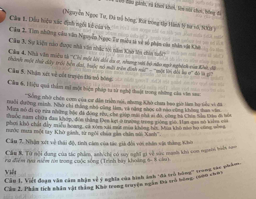 êo đầu gánh, rú khơi khơi, lên núi chơi, bông đá
(Nguyễn Ngọc Tư, Đá trổ bông, Rút trong tập Hành lý hư vô, NXB )
Câầu 1. Dầu hiệu xác định ngôi kể của vb.
Câu 2. Tìm những câu văn Nguyễn Ngọc Tư miêu tả về số phận của nhân vật Khở.
Câu 3. Sự kiện nào được nhà văn nhắc tới năm Khờ lên chín tuổi?
Câu 4. Nhà văn miêu tả “Chỉ một lời dối ầu ơ, nhưng với bộ não ngờ nghệch của Khờ, đã
thành một thứ dây trói bền dai, buộc nó mãi trên đinh núi” - “một lời dối ầu ơ” đó là gì?
Câu 5. Nhận xét về cốt truyện Đá trổ bông.
Câu 6. Hiệu quả thẩm mĩ một biện pháp tu từ nghệ thuật trong những câu văn sau:
“Sống nhờ chén cơm của cư dân triền núi, nhưng Khở chưa bao giờ làm họ tiếc vì đã
nuôi dưỡng mình. Nhờ chi thăng nhỏ cũng làm, và nặng nhọc cỡ nào cũng không than văn.
Mưa nó đi cọ rửa những bậc đá đóng rêu, che giúp mái nhà ai đó, công bà Chín Sầu Đâu đi hốu
thuốc nam chữa đau khớp, đón thăng Đen kẹt ở trường trong giông giỏ. Hạn qua nó kiếm củi
phơi khô chất đầy miễu hoang, cả xóm xài mút mùa không hết. Mùa khô nào họ cũng uống
nước mưa một tay Khờ gánh, từ ngôi chùa gần chân núi Xanh'.
Câu 7. Nhận xét về thái độ, tình cảm của tác giả đối với nhân vật thằng Khờ
Câu 8. Từ nội dung của tác phẩm, anh/chị có suy nghĩ gi về sức mạnh khi con người biết tạo
ra điểm tựa niềm tin trong cuộc sống (Trình bày khoảng 6- 8 câu).
Viết
Câu 1. Viết đoạn văn cảm nhận về ý nghĩa của hình ãnh *đá trồ bông” trong tác phẩm.
Câu 2. Phân tích nhân vật thằng Khờ trong truyện ngằn Đá trỗ bông. (600 chữ)