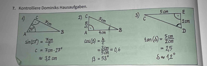 Kontrolliere Dominiks Hausaufgaben.