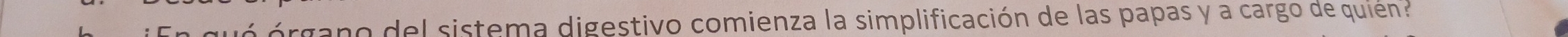 rgano del sistema digestivo comienza la simplificación de las papas y a cargo de quién?
