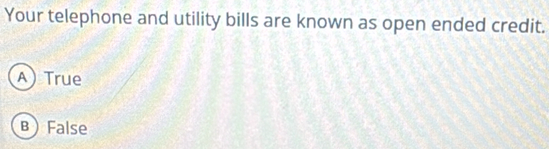 Your telephone and utility bills are known as open ended credit.
A) True
BFalse