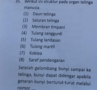 Berikut ini struktur pada organ telinga 
manusia. 
(1) Daun telinga 
(2) Saluran telinga 
(3) Membran timpani 
(4) Tulang sanggurdi 
(5) Tulang landasan 
(6) Tulang martil 
(7) Koklea 
(8) Saraf pendengaran 
Setelah gelombang bunyi sampai ke 
telinga, bunyi dapat didengar apabila 
getaran bunyi berturut-turut melalui 
nomor ....