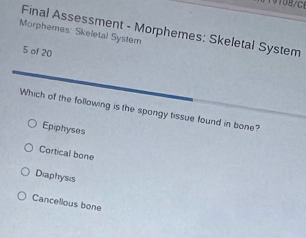 19108/C6
Final Assessment - Morphemes: Skeletal System
Morphemes: Skeletal System
5 of 20
Which of the following is the spongy tissue found in bone?
Epiphyses
Cortical bone
Diaphysis
Cancellous bone