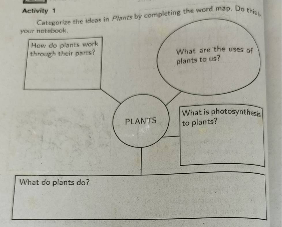 Activity 1 
Categorize the ideas in Plants by completing the word map. Do this in