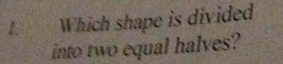 Which shape is divided 
into two equal halves?