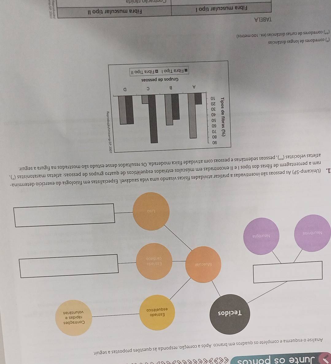 Junte os pontos 
te os quadros em branco. Após a correção, responda às questões propostas a seguir. 
1e (Unicamp-SP) As pessoas são incentivadas a praticar atividades físicas visando uma vida saudável. Especialistas em fisiologia do exercício determina- 
ram a percentagem de fibras dos tipos I e II encontradas em músculos estriados esqueléticos de quatro grupos de pessoas: atletas maratonistas (*), 
atletas velocistas (**), pessoas sedentárias e pessoas com atividade física moderada. Os resultados desse estudo são mostrados na figura a seguir. 
(*) corredores de longas distâncias
(^*) ) corredores de curtas distâncias (ex.: 100 metros) 
TABELA 
Fibra muscular tipo I Fibra muscular tipo II 
Contração ránida
