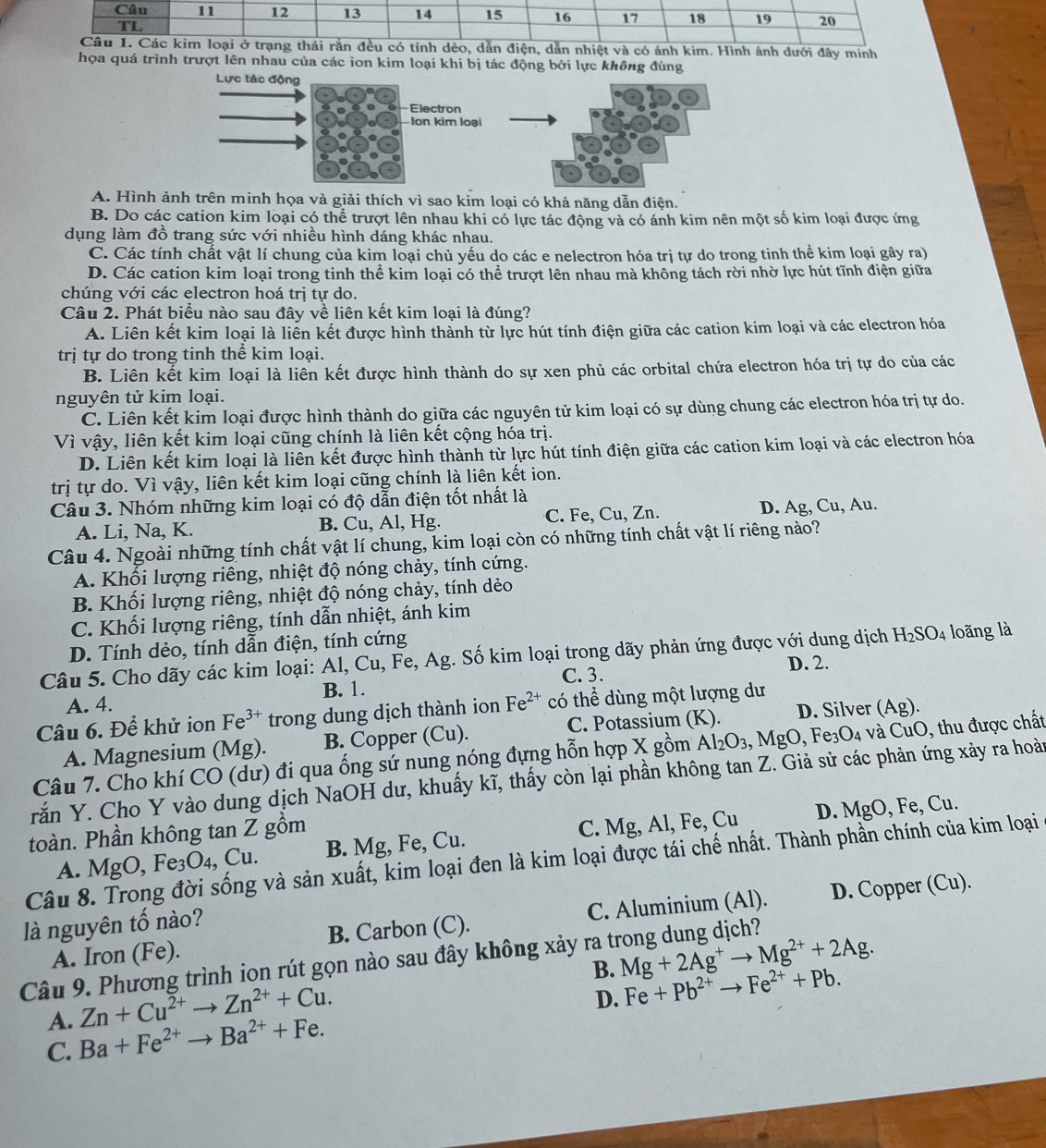 12 13 14 15 16 17 18 19 20
TL
Câu 1. Các kim loại ở trạng thái rắn đều có tính dèo, dẫn điện, dẫn nhiệt và có ánh kim. Hình ảnh dưới đây minh
họa quá trình trượt lên nhau của các ion kim loại khi bị tác động bởi lực không đùng
Lực tác động
Electron
Ion kìm loại
A. Hình ảnh trên minh họa và giải thích vì sao kim loại có khả năng dẫn điện.
B. Do các cation kim loại có thể trượt lên nhau khi có lực tác động và có ánh kim nên một số kim loại được ứng
dụng làm đồ trang sức với nhiều hình dáng khác nhau.
C. Các tính chất vật lí chung của kim loại chủ yếu do các e nelectron hóa trị tự do trong tinh thể kim loại gây ra)
D. Các cation kim loại trong tinh thể kim loại có thể trượt lên nhau mà không tách rời nhờ lực hút tĩnh điện giữa
chúng với các electron hoá trị tự do.
Câu 2. Phát biểu nào sau đây về liên kết kim loại là đúng?
A. Liên kết kim loại là liễn kết được hình thành từ lực hút tính điện giữa các cation kim loại và các electron hóa
trị tự do trong tinh thể kim loại.
B. Liên kết kim loại là liên kết được hình thành do sự xen phủ các orbital chứa electron hóa trị tự do của các
nguyên tử kim loại.
C. Liên kết kim loại được hình thành do giữa các nguyên tử kim loại có sự dùng chung các electron hóa trị tự do.
Vì vậy, liên kết kim loại cũng chính là liên kết cộng hóa trị.
D. Liên kết kim loại là liên kết được hình thành từ lực hút tính điện giữa các cation kim loại và các electron hóa
trị tự do. Vì vậy, liên kết kim loại cũng chính là liên kết ion.
Câu 3. Nhóm những kim loại có độ dẫn điện tốt nhất là
A. Li, Na, K. B. Cu, Al, Hg. C. Fe, Cu, Zn. D. Ag, Cu, Au.
Câu 4. Ngoài những tính chất vật lí chung, kim loại còn có những tính chất vật lí riêng nào?
A. Khối lượng riêng, nhiệt độ nóng chảy, tính cứng.
B. Khối lượng riêng, nhiệt độ nóng chảy, tính dẻo
C. Khối lượng riêng, tính dẫn nhiệt, ánh kim
D. Tính dẻo, tính dẫn điện, tính cứng
Câu 5. Cho dãy các kim loại: Al, Cu, Fe, Ag. Số kim loại trong dãy phản ứng được với dung dịch H_2SO_4 loãng là
D. 2.
C. 3.
A. 4. B. 1.
Câu 6. Để khử ion Fe^(3+) trong dung dịch thành ion Fe^(2+) có thể dùng một lượng dư
A. Magnesium (Mg). B. Copper (Cu). C. Potassium (K). D. Silver (Ag).
Câu 7. Cho khí CO (dư) đi qua ống sứ nung nóng đựng hỗn hợp X gồm Al_2O_3,MgO, Fe _3O_4 và CuO, thu được chất
rắn Y. Cho Y vào dung dịch NaOH dư, khuấy kĩ, thấy còn lại phần không tan Z. Giả sử các phản ứng xảy ra hoàn
toàn. Phần không tan Z gồm C. Mg, A l, Fe, Cu D. MgO,Fe,Cu.
A. MgO, Fe₃O₄, Cu. B. Mg, Fe, Cu.
Câu 8. Trong đời sống và sản xuất, kim loại đen là kim loại được tái chế nhất. Thành phần chính của kim loại
A. Iron (Fe). B. Carbon (C). C. Aluminium (Al). D. Copper (Cu).
là nguyên tố nào?
B. Mg+2Ag^+to Mg^(2+)+2Ag.
Câu 9. Phương trình ion rút gọn nào sau đây không xảy ra trong dung dịch?
Zn+Cu^(2+)to Zn^(2+)+Cu.
D. Fe+Pb^(2+)to Fe^(2+)+Pb.
A. Ba+Fe^(2+)to Ba^(2+)+Fe.
C.