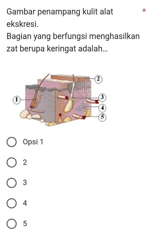 Gambar penampang kulit alat
*
ekskresi.
Bagian yang berfungsi menghasilkan
zat berupa keringat adalah...
Opsi 1
2
3
4
5