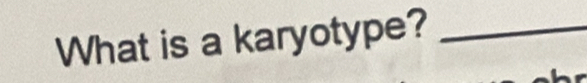 What is a karyotype?_