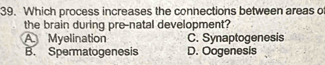 Which process increases the connections between areas of
the brain during pre-natal development?
A. Myelination C. Synaptogenesis
B. Spermatogenesis D. Oogenesis