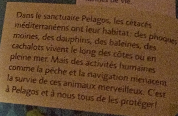 Dans le sanctuaire Pelagos, les cétacés 
méditerranéens ont leur habitat: des phoques 
moines, des dauphins, des baleines, des 
cachalots vivent le long des côtes ou en 
pleine mer. Mais des activités humaines 
comme la pêche et la navigation menacent 
la survie de ces animaux merveilleux. C'est 
à Pelagos et à nous tous de les protéger!