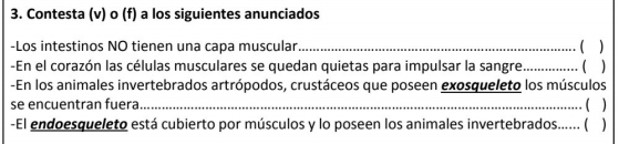 Contesta (v) o (f) a los siguientes anunciados 
-Los intestinos NO tienen una capa muscular_  
-En el corazón las células musculares se quedan quietas para impulsar la sangre_  
-En los animales invertebrados artrópodos, crustáceos que poseen exosqueleto los músculos 
se encuentran fuera_ ( ) 
-El endoesqueleto está cubierto por músculos y lo poseen los animales invertebrados...... (