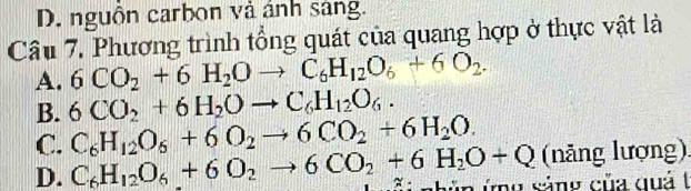 D. nguồn carbon và ảnh sang.
Câu 7. Phương trình tổng quát của quang hợp ở thực vật là
A. 6CO_2+6H_2Oto C_6H_12O_6+6O_2.
B. 6CO_2+6H_2Oto C_6H_12O_6.
C. C_6H_12O_6+6O_2to 6CO_2+6H_2O. (nảng lượng).
D. C_6H_12O_6+6O_2to 6CO_2+6H_2O+Q shún ứng sảng của quả t