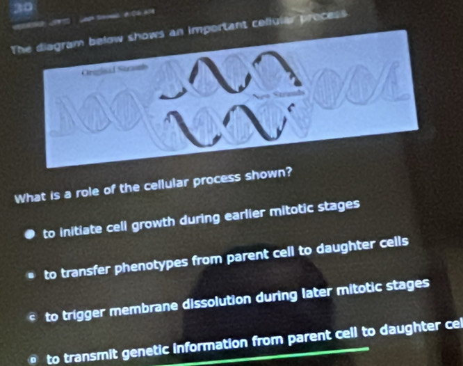 The diagram below shows an important celiular process
Oreglsad Straanb
What is a role of the cellular process shown?
to initiate cell growth during earlier mitotic stages
to transfer phenotypes from parent cell to daughter cells
C to trigger membrane dissolution during later mitotic stages
。 to transmit genetic information from parent cell to daughter cel