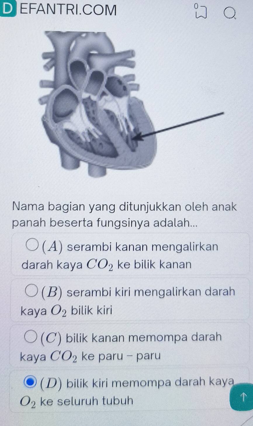 DEFANTRI.COM
Nama bagian yang ditunjukkan oleh anak
panah beserta fungsinya adalah...
(A) serambi kanan mengalirkan
darah kaya CO_2 ke bilik kanan
(B) serambi kiri mengalirkan darah
kaya O_2 bilik kiri
(C) bilik kanan memompa darah
kaya CO_2 ke paru - paru
(D) bilik kiri memompa darah kaya
O_2 ke seluruh tubuh